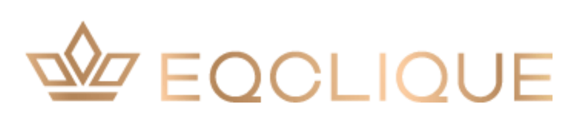 Brand partner 13